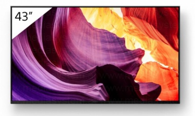 Sony FWD-43X80K Display