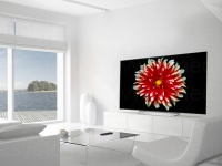 LG 65 C7V OLED TV / Bild 10 von 12