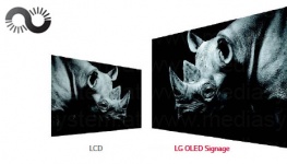 LG 65EE5PC Dual-view Curved Tiling OLED Signage Professional Display / Bild 4 von 8